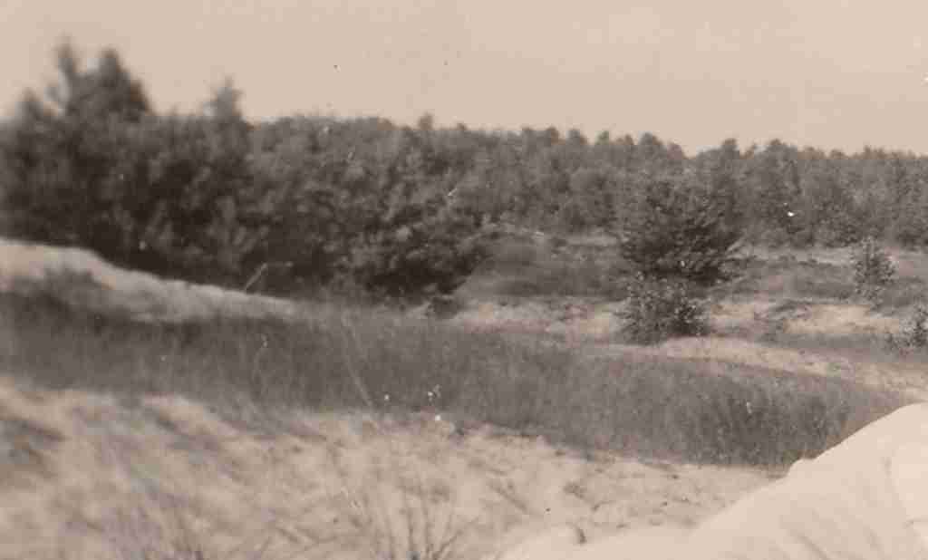 1951 Sommer - Osenberge 04 detail