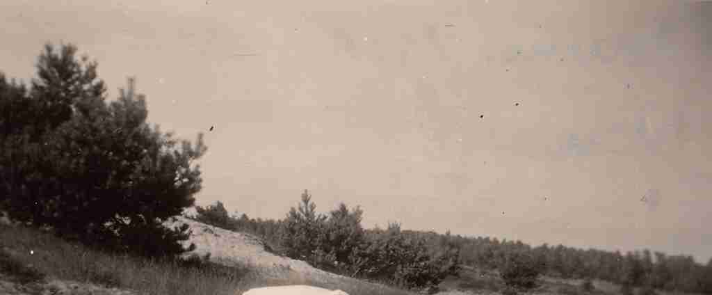 1951 Sommer - Osenberge 05 detail