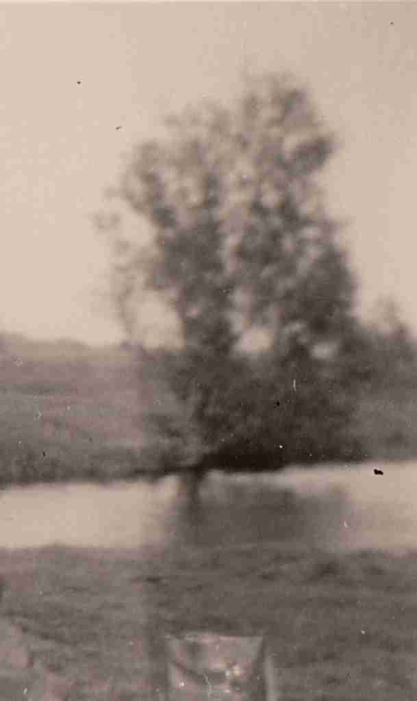 1953 Sommer - Hunteniederung Glahner Eck detail