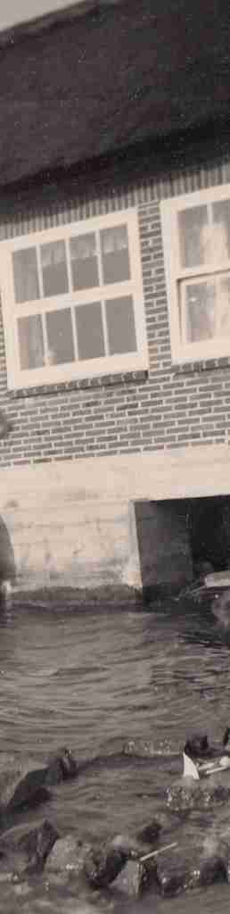 1956_08 Bad Zwischenahn detail