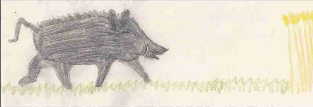 1957 Heimatkunde - Schwarzkittel