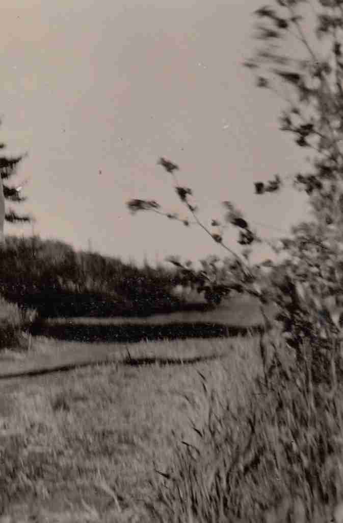 1957_04 o. 05 - Wildenloh 01 detail