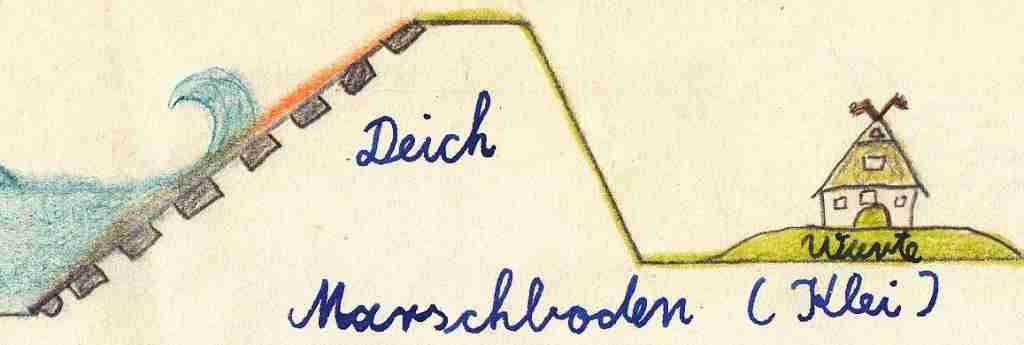 1957_05ca Heimatkunde - Marsch u Deich