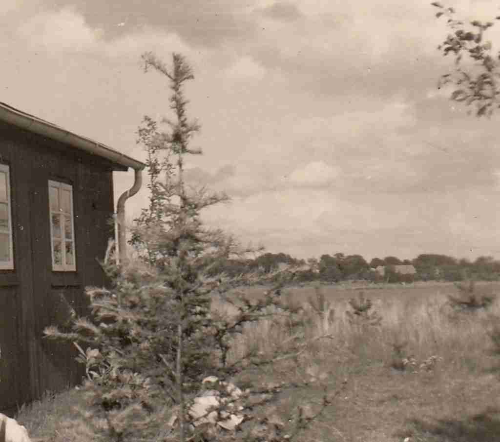 1958_05_25 Hüttenbusch detail