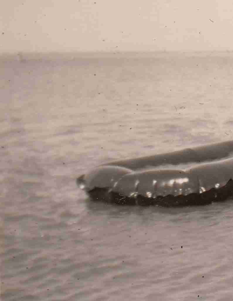 1959 Sommer - Dangast detail2