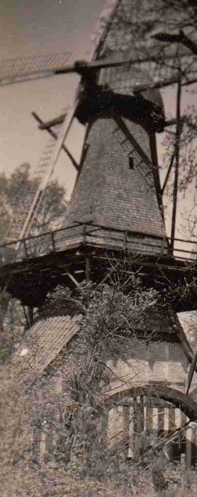 1959_05_07 Hümmling 02 detail2