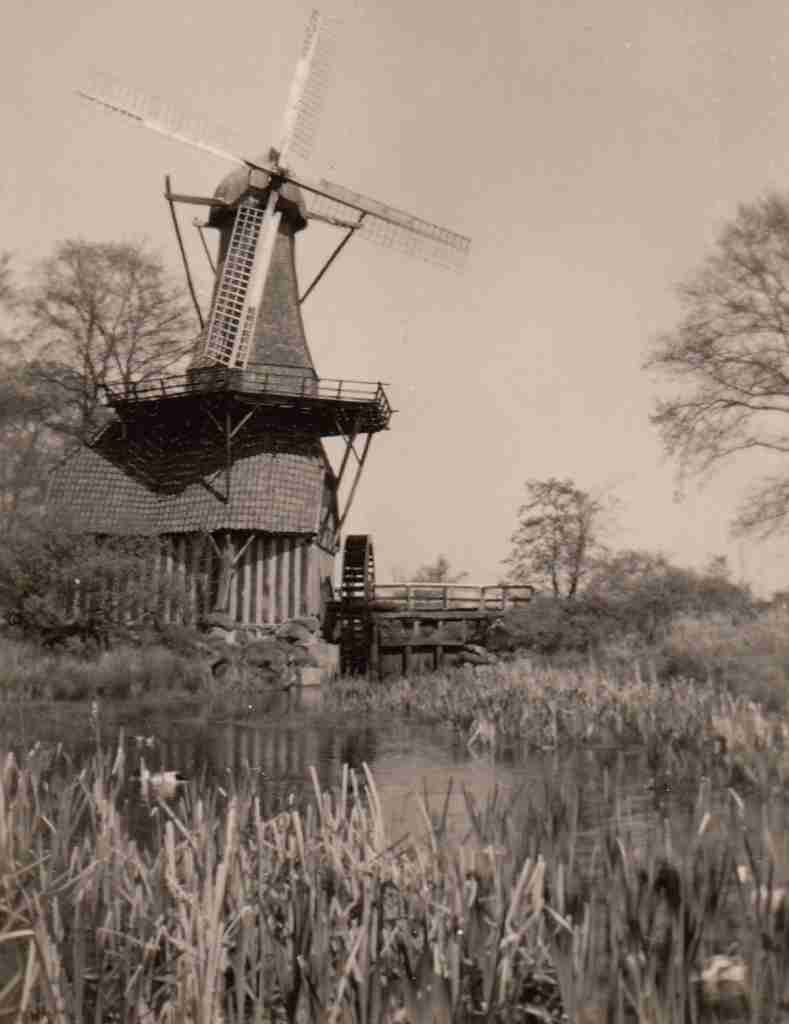 1959_05_07 Hümmling 03 detail2