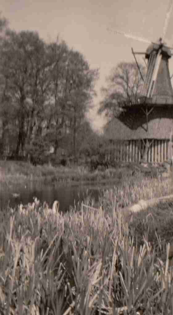 1959_05_07 Hümmling Hüvener Mühle detail