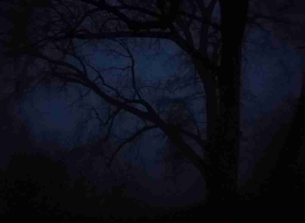 2020_12_23 07.52.13h Stadtpark