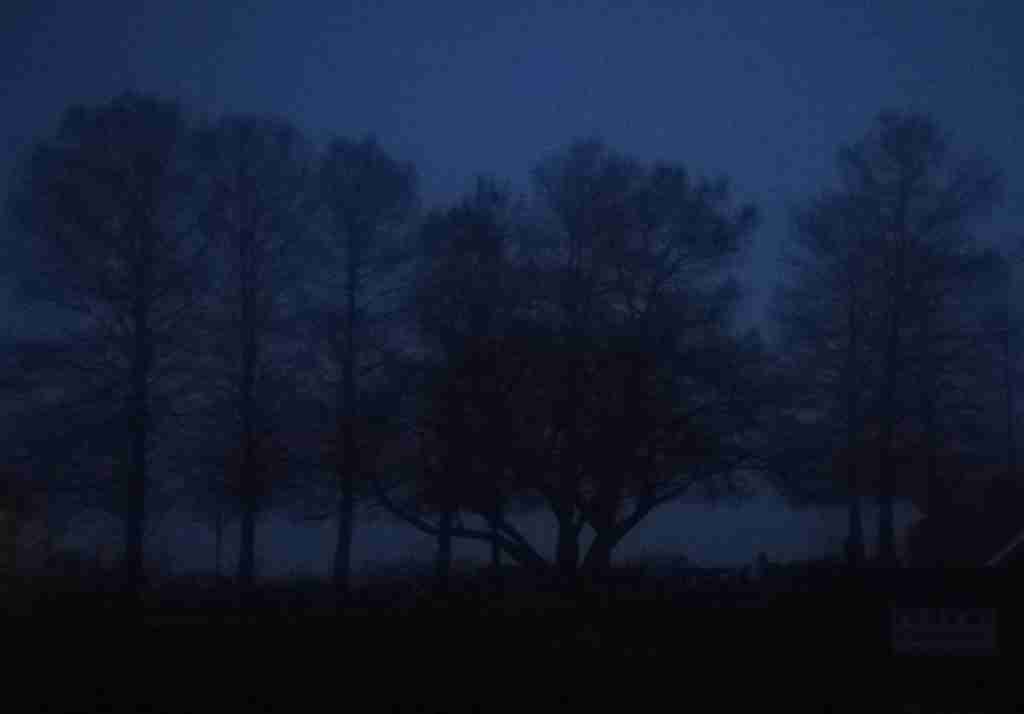 2020_12_23 07.55.19h Stadtpark