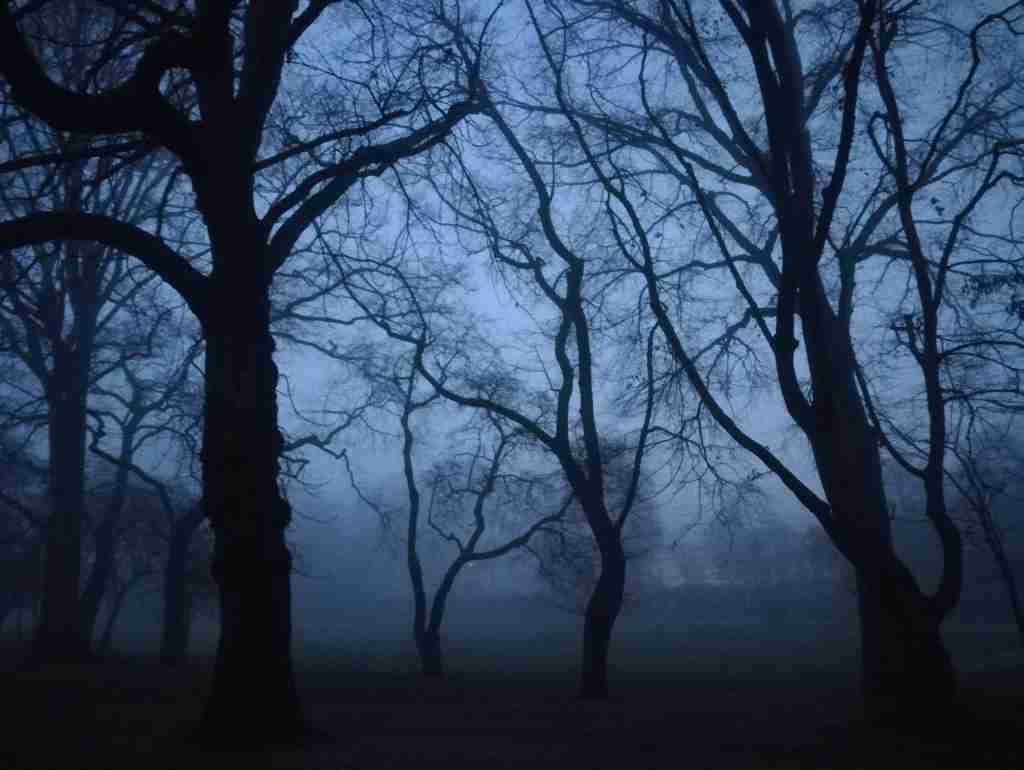 2020_12_23 08.04.54h Stadtpark