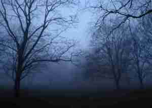 2020_12_23 08.05.29h Stadtpark