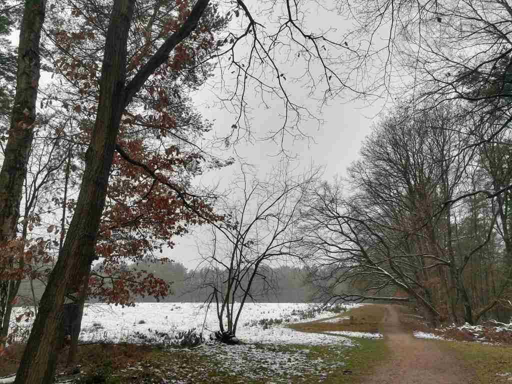 2021_01_09 In den Schwarzen Bergen