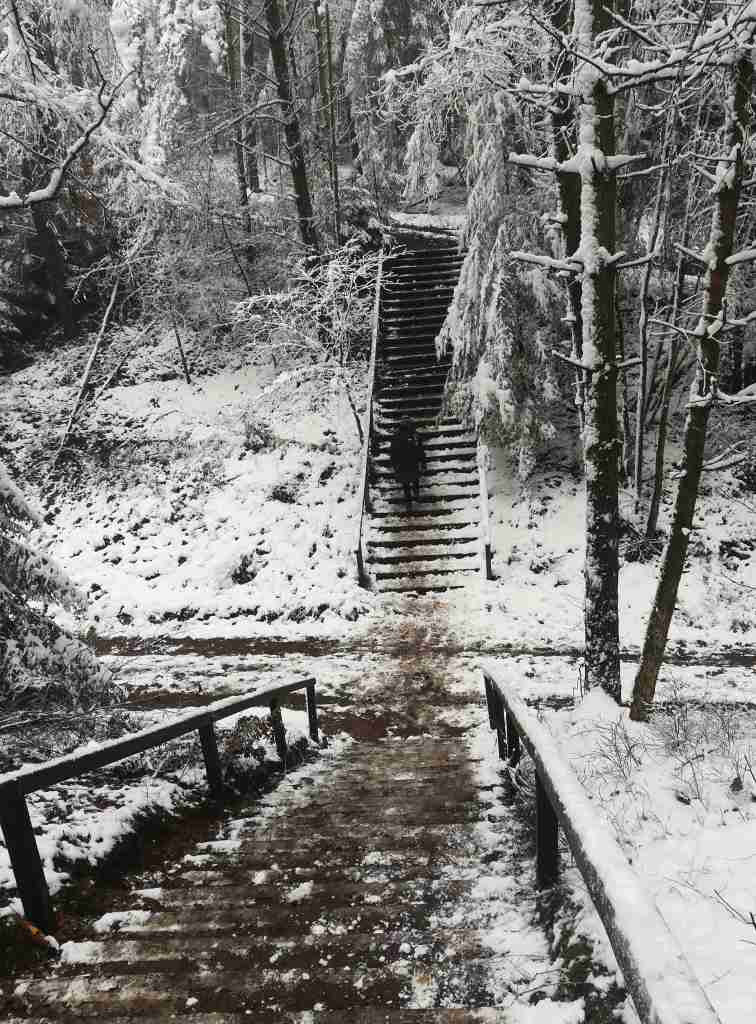 2021_01_09 Doppeltreppe