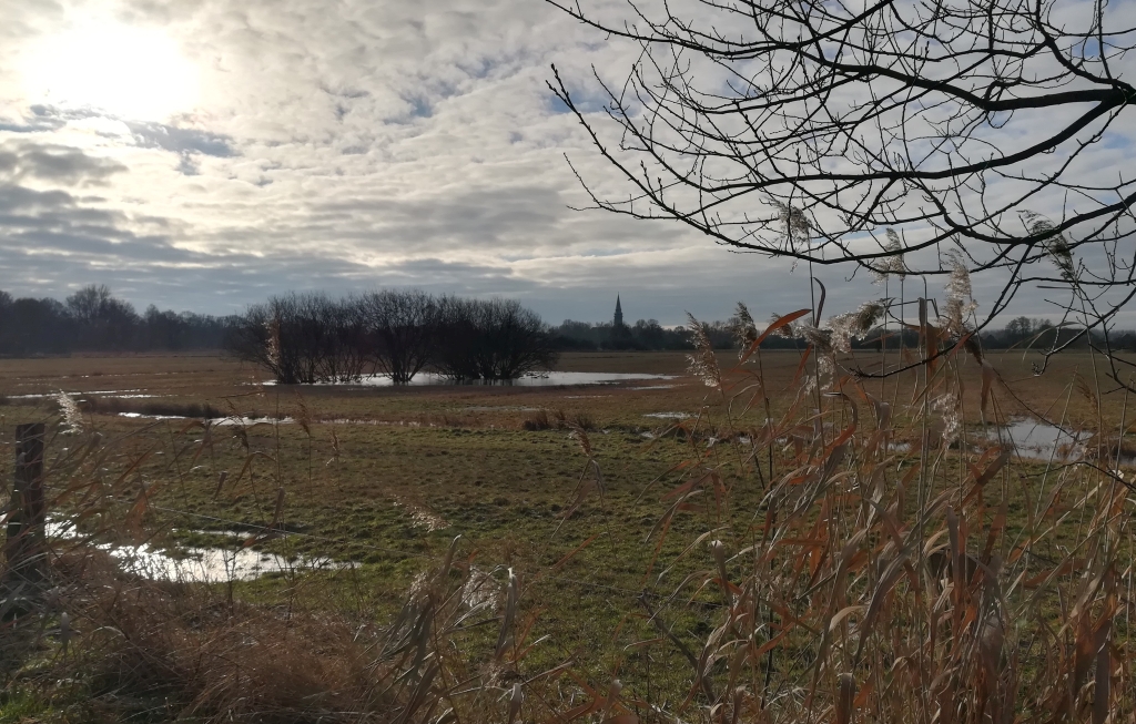 2021_01_16 Lohbrügge Boberger Niederung mit St.Nikolai in Billwerder