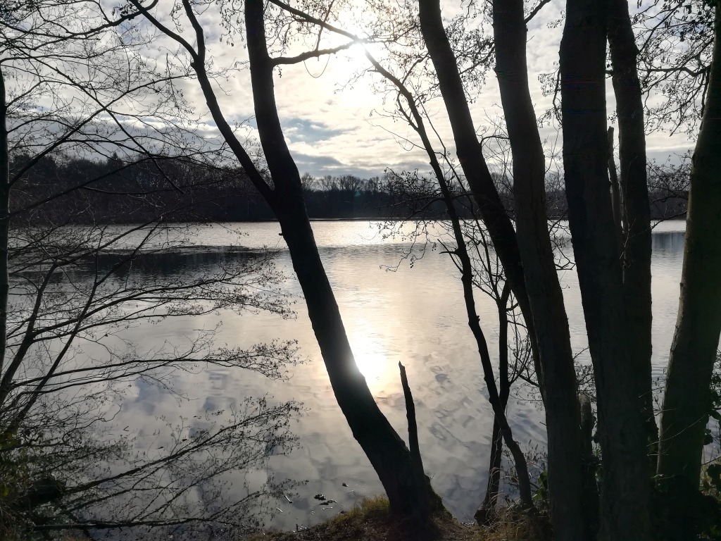 2021_01_16 Lohbrügge Boberger See