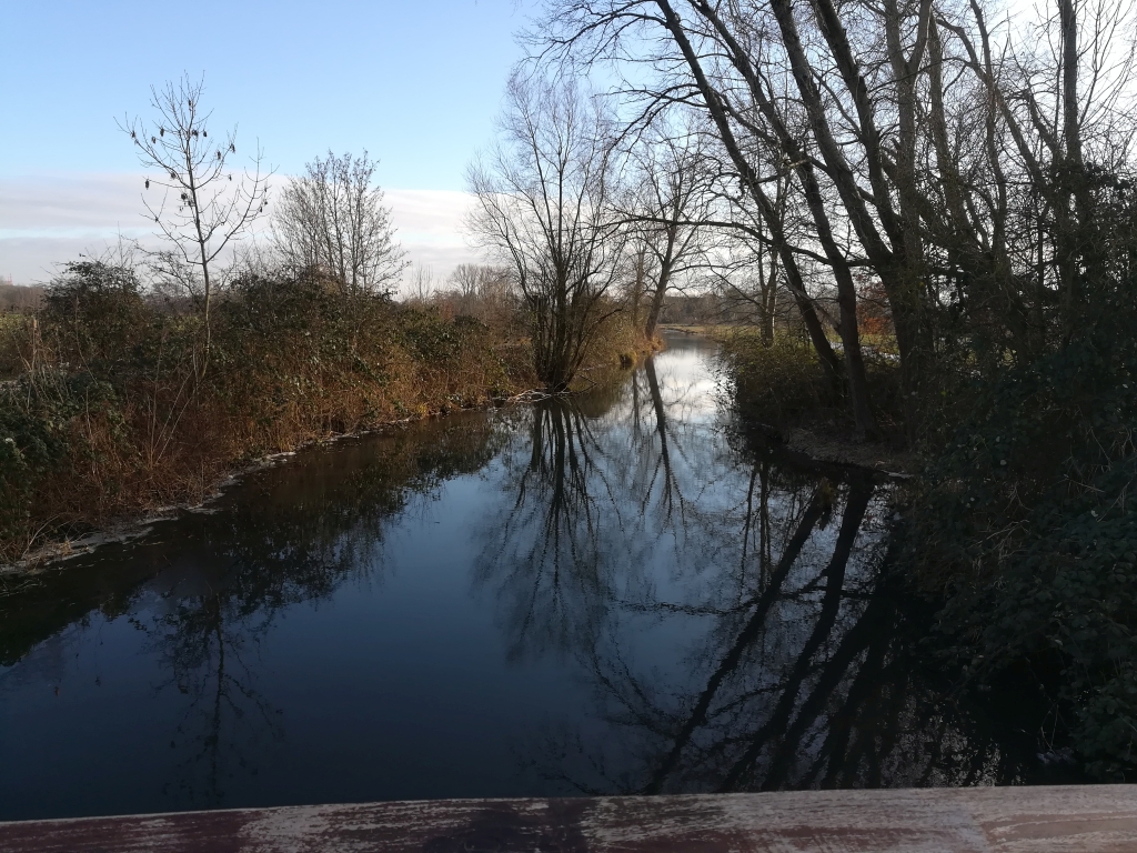 2021_01_16 Lohbrügge / Billwerder: Bille