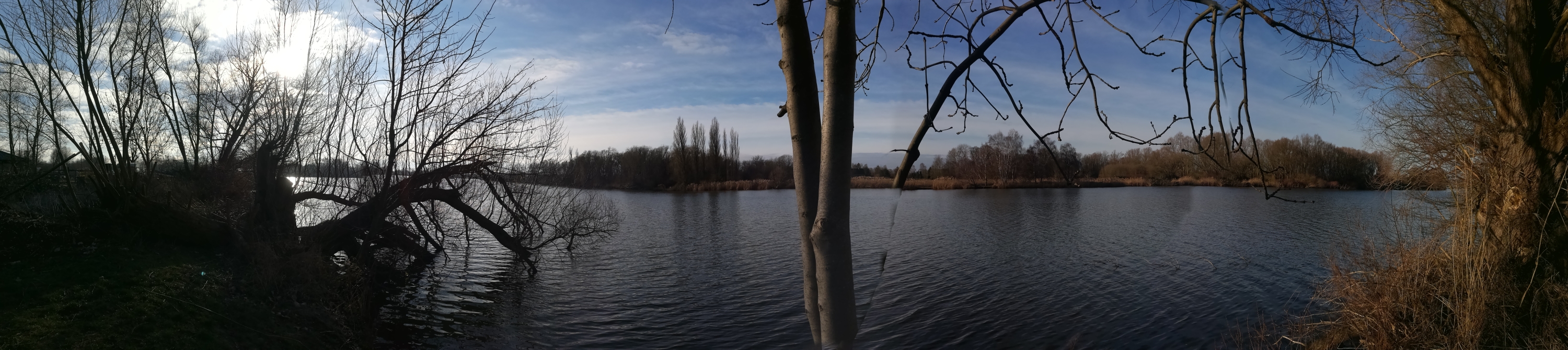 2021_01_16 Allermöhe Dove Elbe 180°