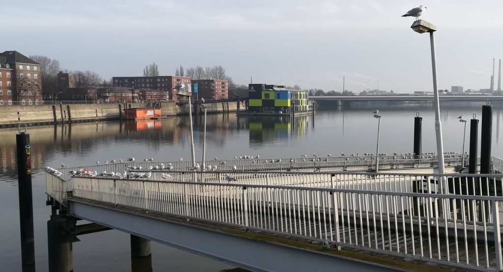 2021_01_23 Müggenburger Zollhafen vom Ballin-Park aus