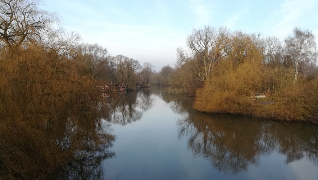 2021_01_23 Wilhelmsburger Dove Elbe