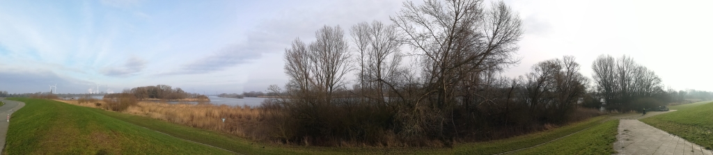 2021_01_23 Norderelbe mit NSG Obere Tideelbe