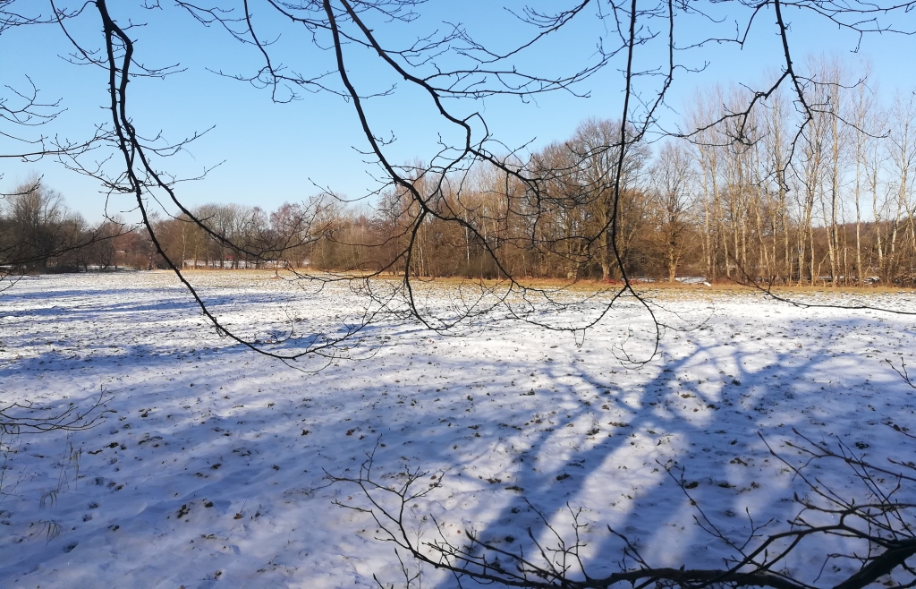 2021_02_13 Eidelstedter Feldmark