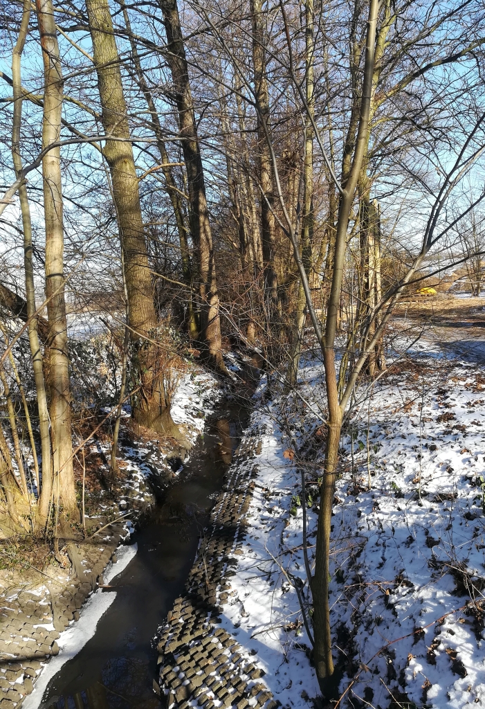 2021_02_13 Mühlenau / Düngelau