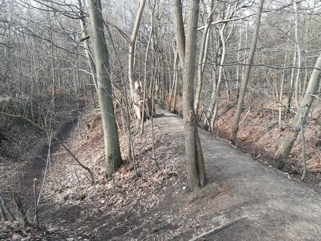 2021_02_20 Heimfelder Holz