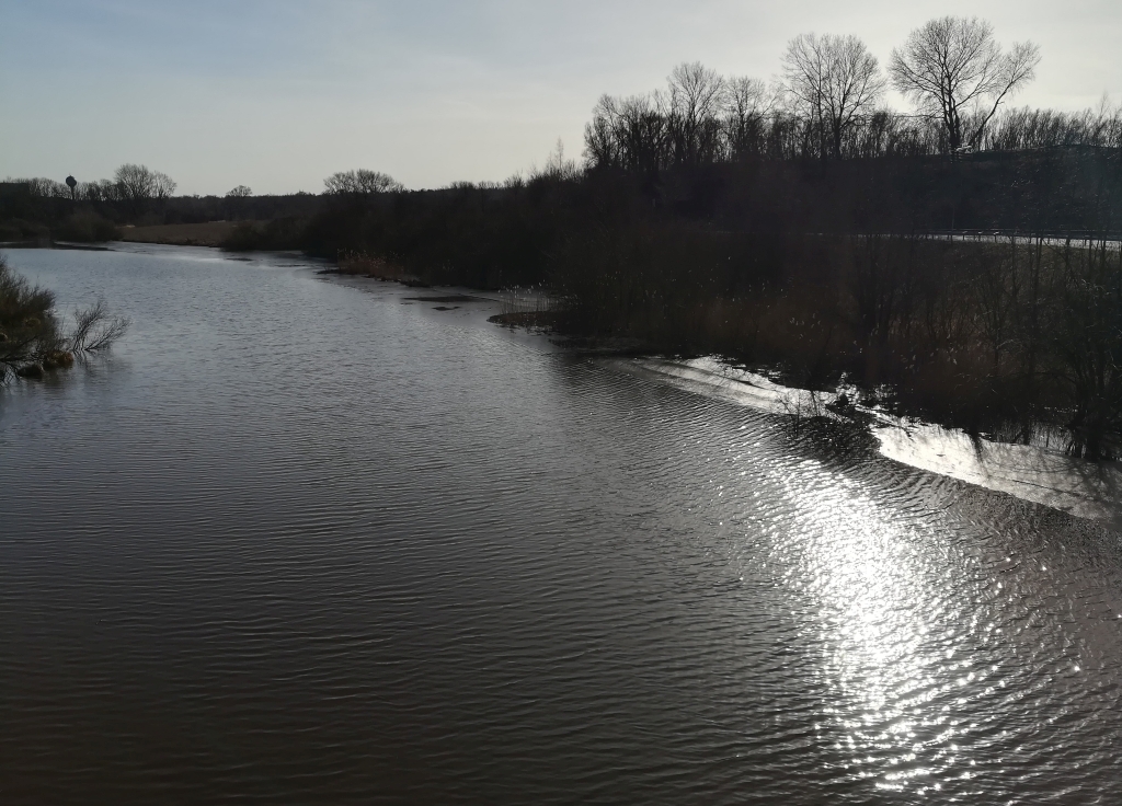 2021_02_20 Francop, Alte Süderelbe