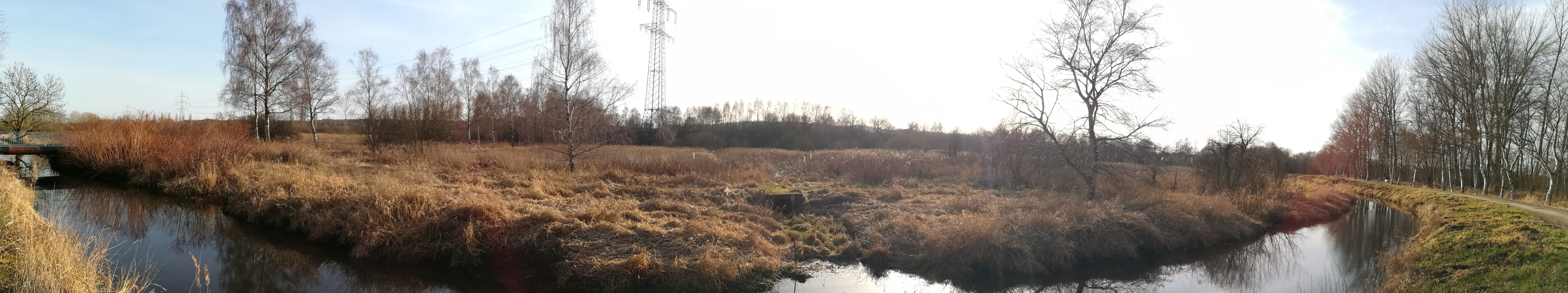 2021_02_20 Moorburg, Moorburger Landscheide