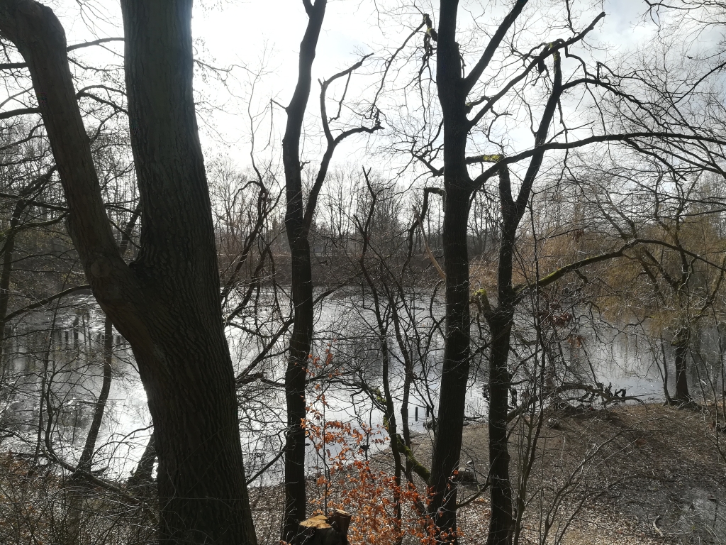 2021_02_26 Osdorf: Ziegeleiteich