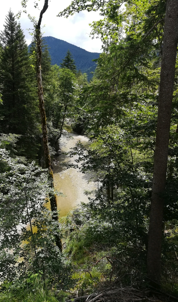 2021_07_16 Jachenau, Große Laine