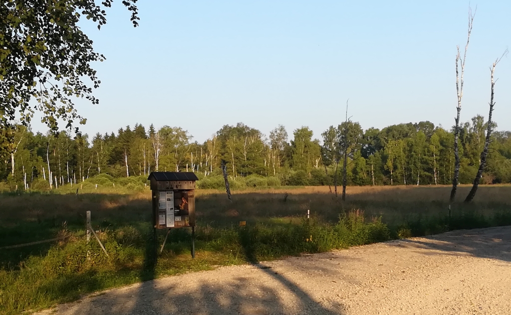 2021_07_20 Fußbergmoos