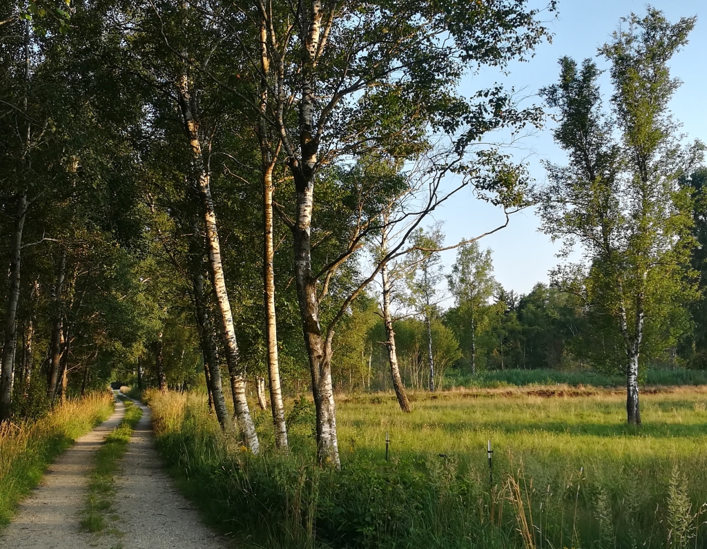 2021_07_20 Fußbergmoos