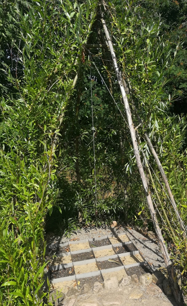 2021_07_30 Pendel-Orakel von Hitzacker