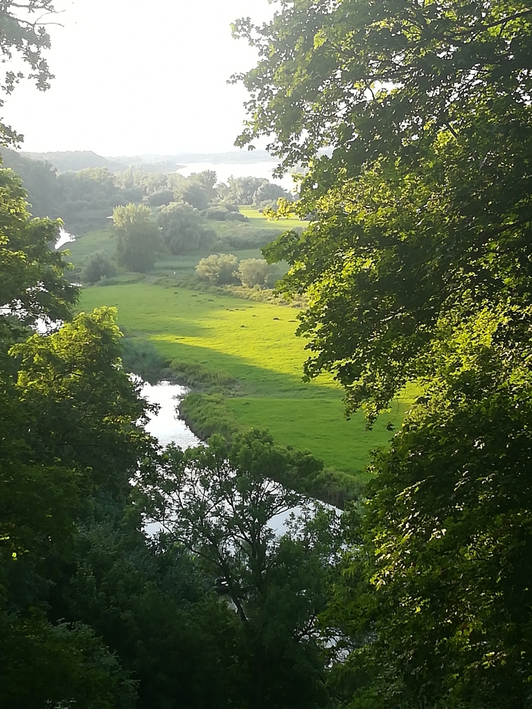 2021_07_30 Vom Weinberg elbabwärts über Alte Jeetzel