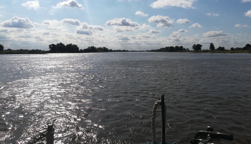 2021_07_31 Elbaufwärts bei Hitzacker