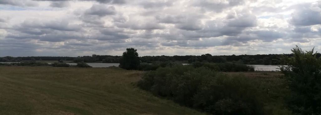 2021_07_31 Elbvorland bei Strachau