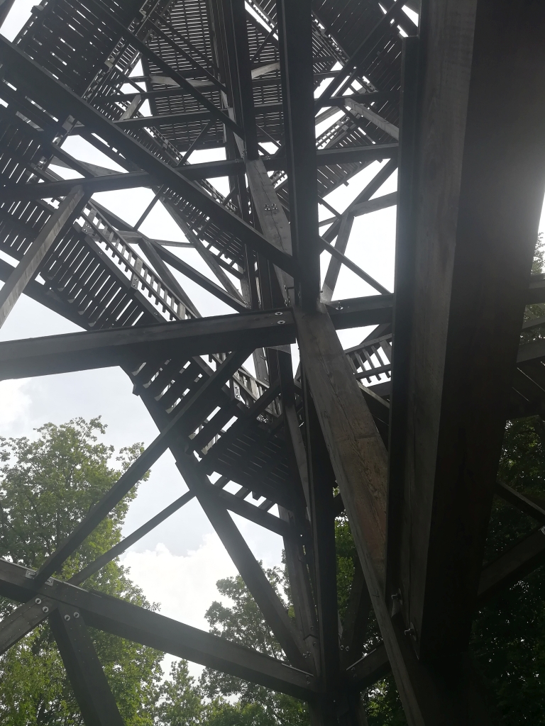 2021_08_01 Hoher Mechtin