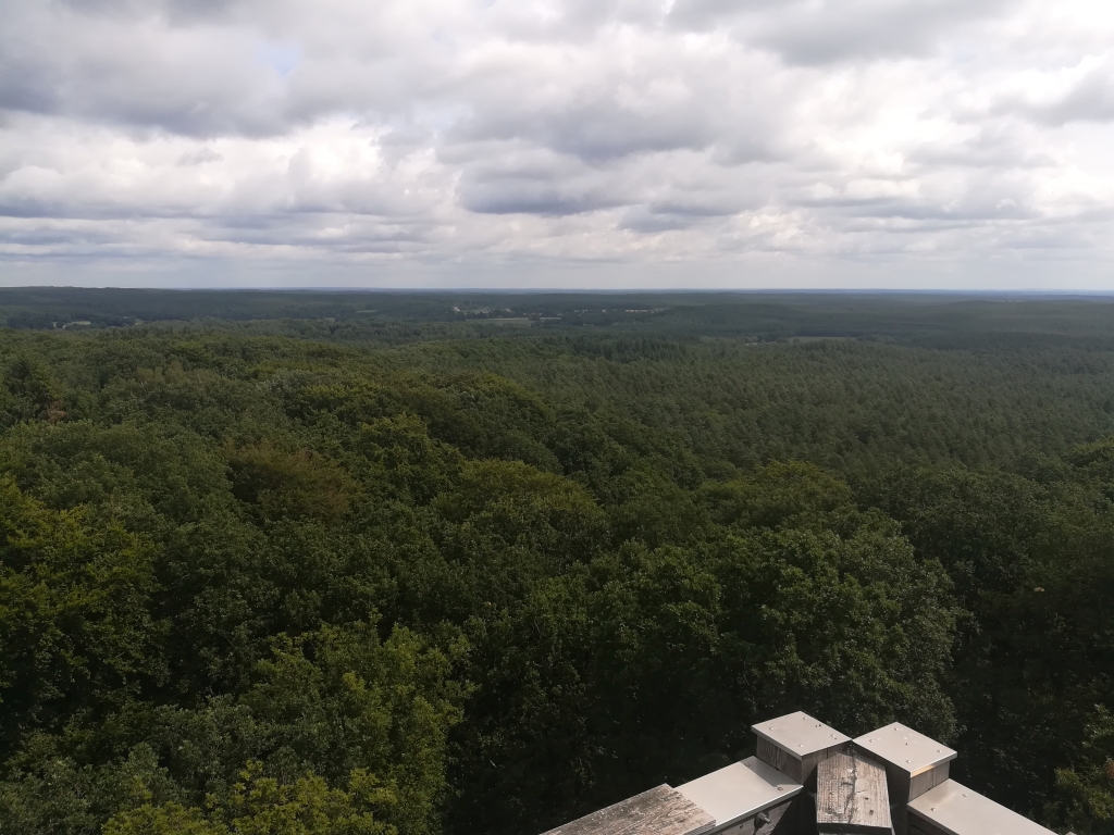 2021_08_01 Vom Hohen Mechtin