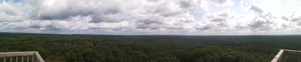 2021_08_01 Vom Hohen Mechtin