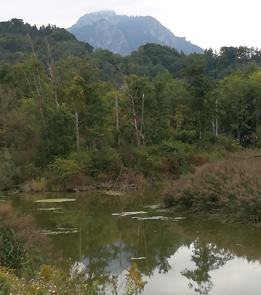 2021_09_19 Heuberg von Inn-Aue aus