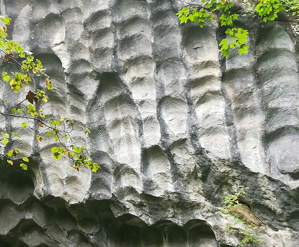 2021_09_20 Neubeuern Mühlsteinbruch Hinterhör