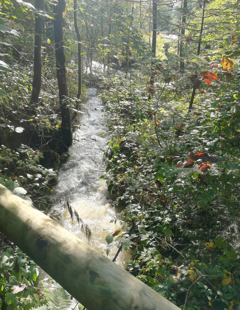 2021_09_20 Nußdorf Mühlenweg #02