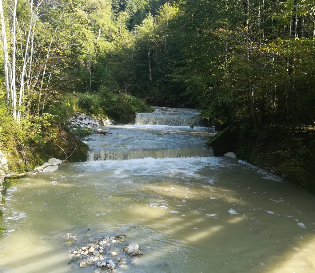 2021_09_20 Mühlbach oberhalb von Nußdorf