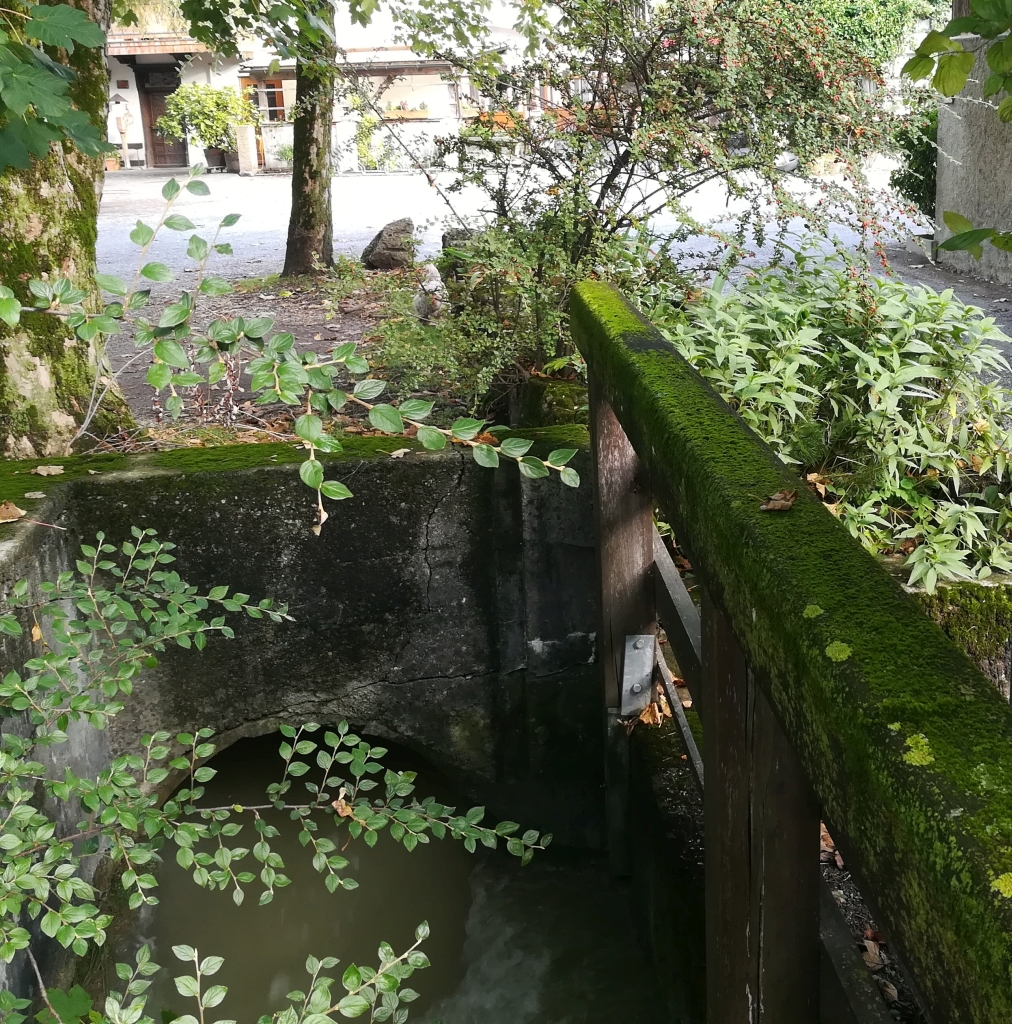 2021_09_20 Nußdorf Mühlenweg #13