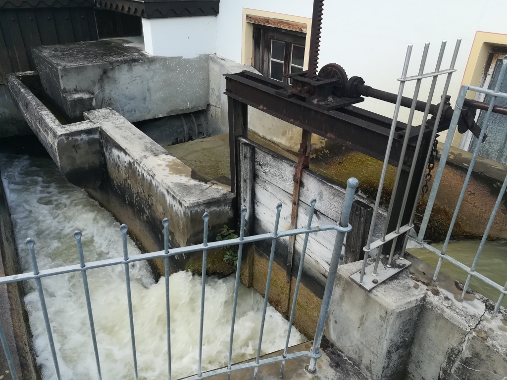 2021_09_20 Nußdorf Mühlenweg #12