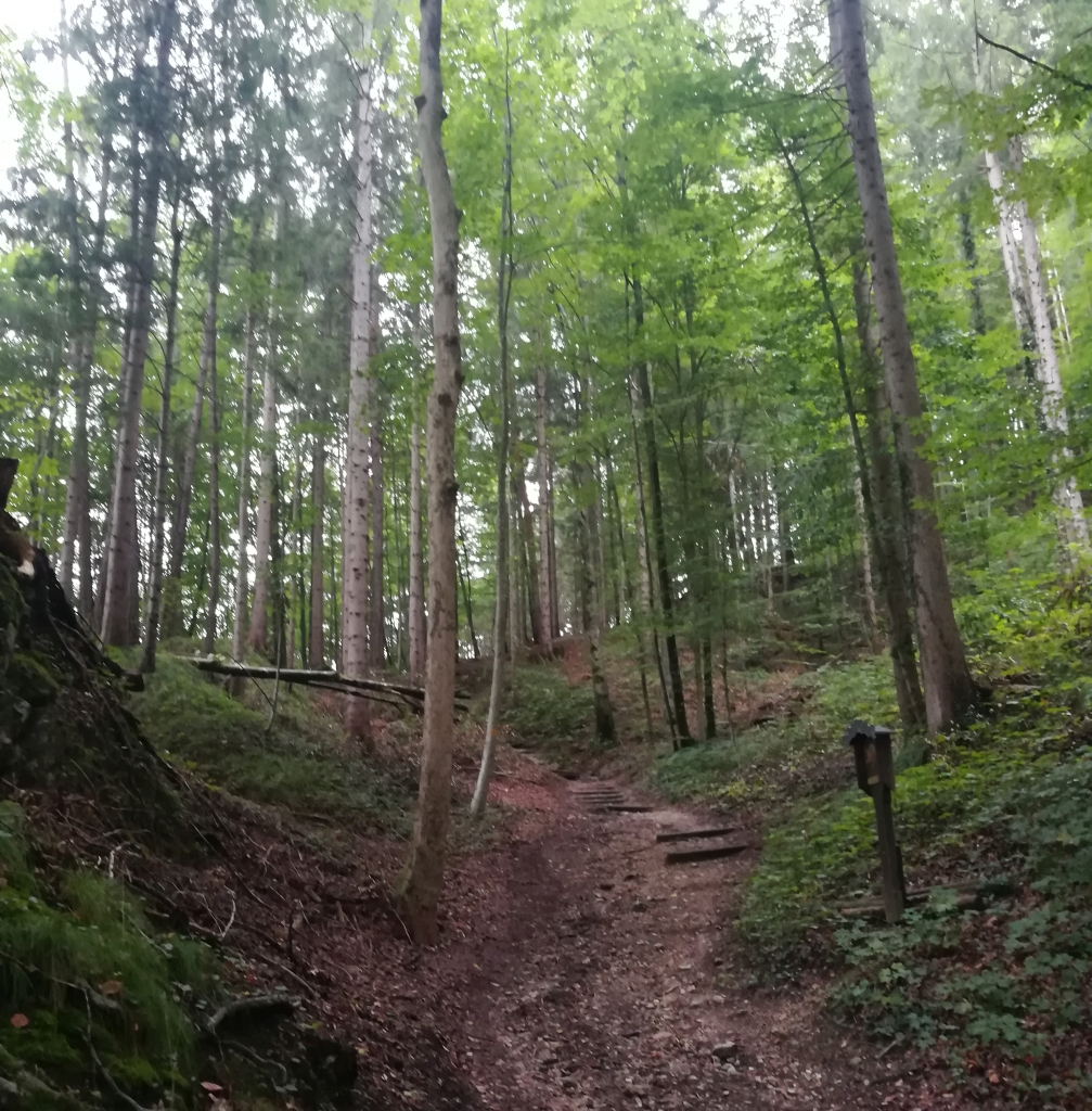 2021_09_21 Heuberg Pilgerweg