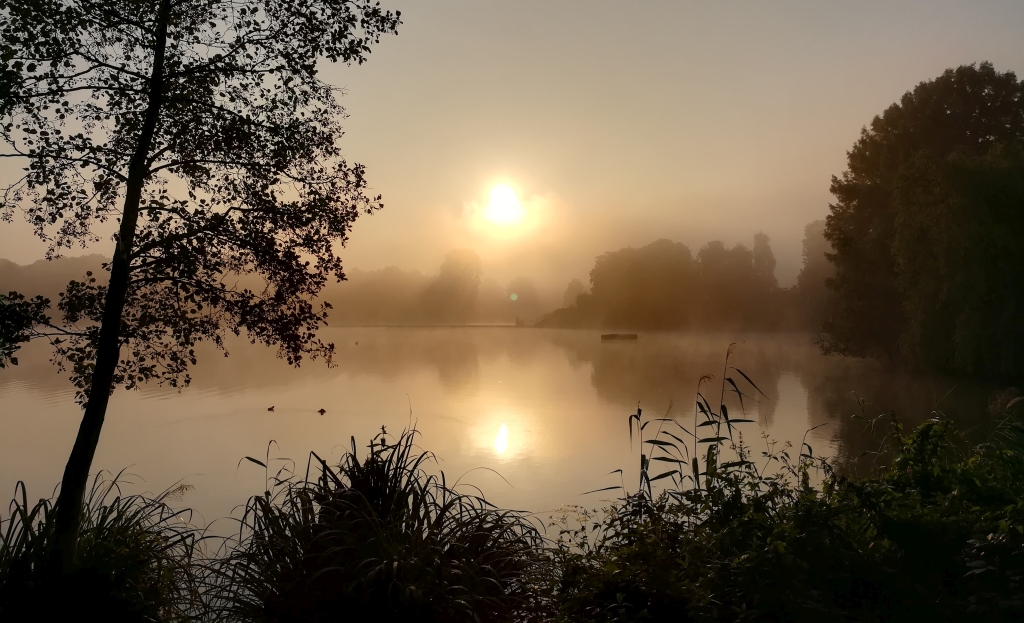 2021_09_06 HH-Stadtpark