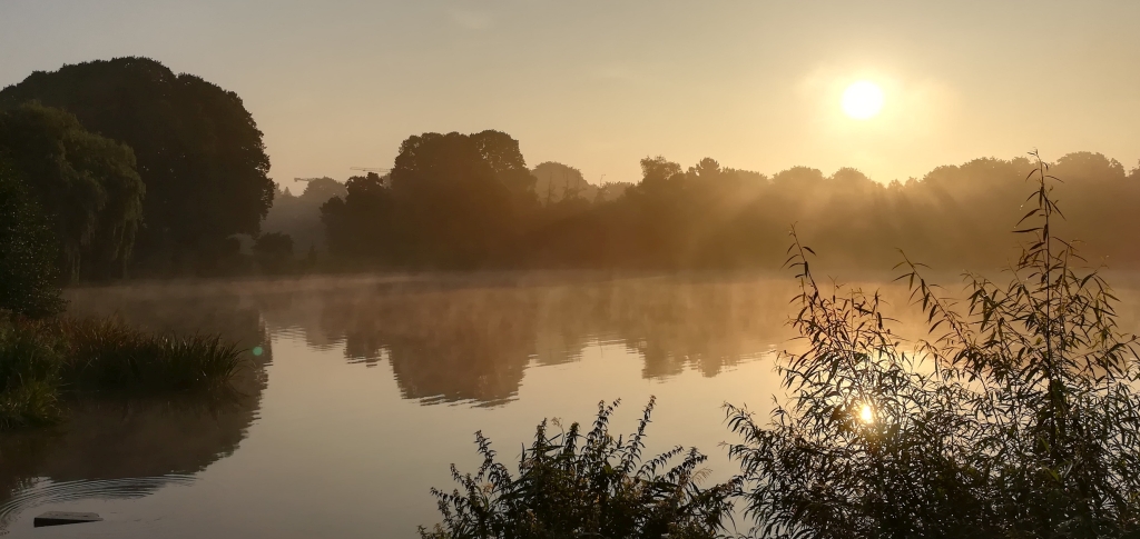 2021_09_06 HH-Stadtpark